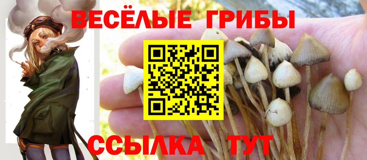 цена   Галлюциногенные грибы MAGIC MUSHROOMS  Вход с VPN  Майкоп 